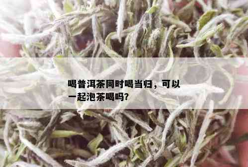 喝普洱茶同时喝当归，可以一起泡茶喝吗？