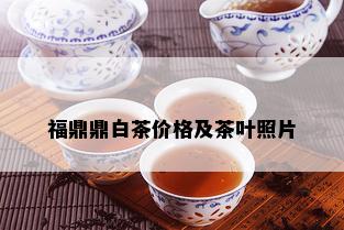 福鼎鼎白茶价格及茶叶照片