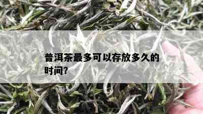 普洱茶最多可以存放多久的时间？