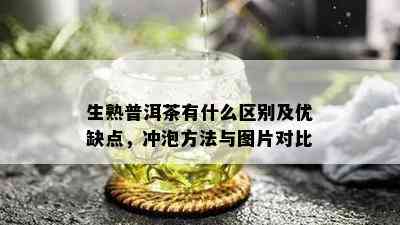 生熟普洱茶有什么区别及优缺点，冲泡方法与图片对比