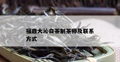 福鼎大沁白茶制茶师及联系方式