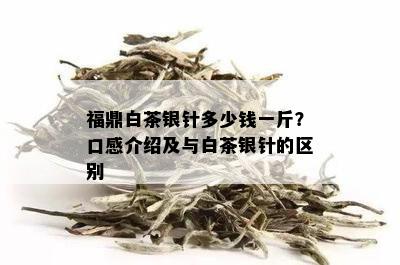 福鼎白茶银针多少钱一斤？口感介绍及与白茶银针的区别