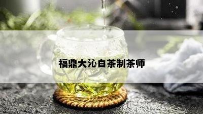 福鼎大沁白茶制茶师