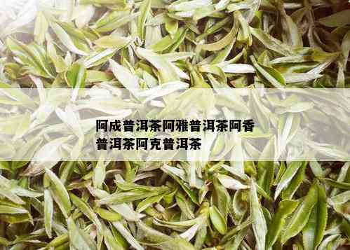 阿成普洱茶阿雅普洱茶阿香普洱茶阿克普洱茶