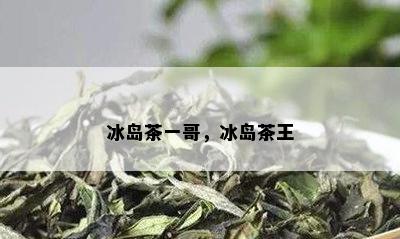 冰岛茶一哥，冰岛茶王