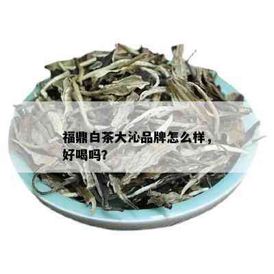 福鼎白茶大沁品牌怎么样，好喝吗？