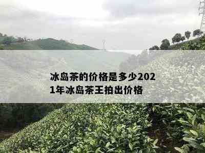 冰岛茶的价格是多少2021年冰岛茶王拍出价格