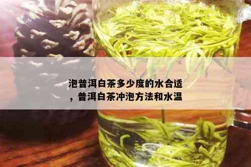 泡普洱白茶多少度的水合适，普洱白茶冲泡方法和水温