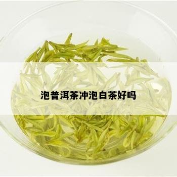 泡普洱茶冲泡白茶好吗