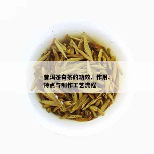 普洱茶白茶的功效、作用、特点与制作工艺流程