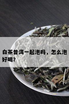 白茶普洱一起泡吗，怎么泡好喝？