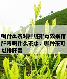 喝什么茶对肝脏排效果排肝喝什么茶水，哪种茶可以排肝