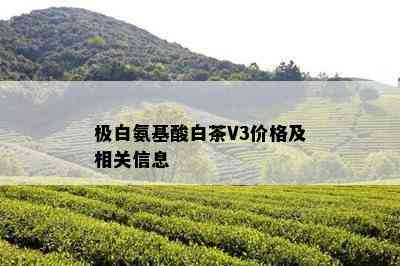 极白氨基酸白茶V3价格及相关信息