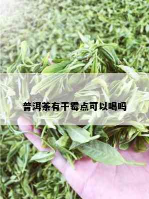 普洱茶有干霉点可以喝吗