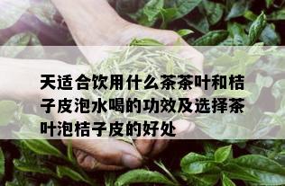 天适合饮用什么茶茶叶和桔子皮泡水喝的功效及选择茶叶泡桔子皮的好处