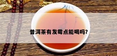 普洱茶有发霉点能喝吗？