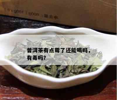 普洱茶有点霉了还能喝吗，有吗？