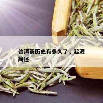 普洱茶历史有多久了，起源简述