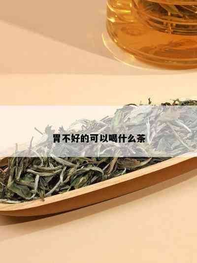 胃不好的可以喝什么茶