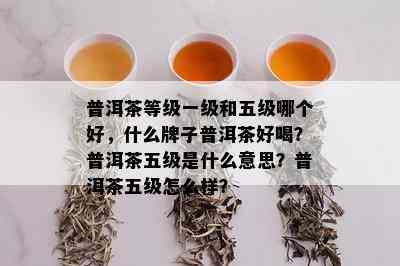 普洱茶等级一级和五级哪个好，什么牌子普洱茶好喝？普洱茶五级是什么意思？普洱茶五级怎么样？