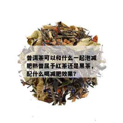 普洱茶可以和什么一起泡减肥熟普属于红茶还是黑茶，配什么喝减肥效果？