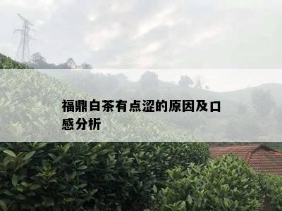 福鼎白茶有点涩的原因及口感分析