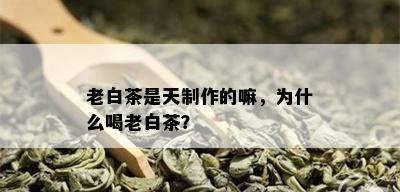 老白茶是天制作的嘛，为什么喝老白茶？