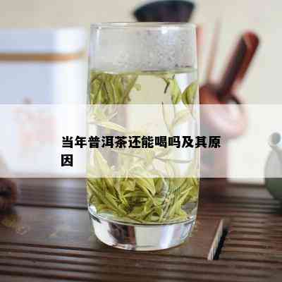 当年普洱茶还能喝吗及其原因