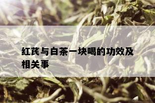 红芪与白茶一块喝的功效及相关事