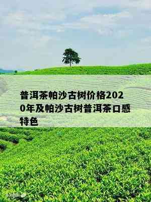 普洱茶帕沙古树价格2020年及帕沙古树普洱茶口感特色