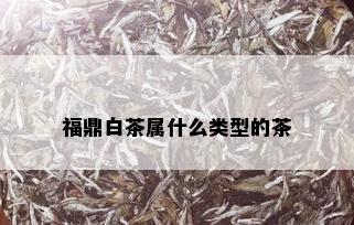 福鼎白茶属什么类型的茶