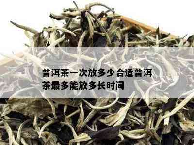 普洱茶一次放多少合适普洱茶最多能放多长时间