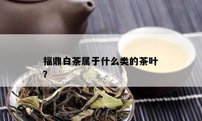 福鼎白茶属于什么类的茶叶？