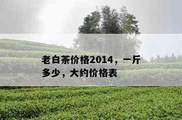 老白茶价格2014，一斤多少，大约价格表