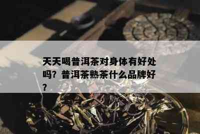 天天喝普洱茶对身体有好处吗？普洱茶熟茶什么品牌好？