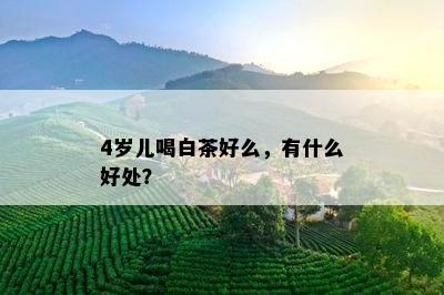 4岁儿喝白茶好么，有什么好处？