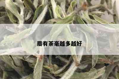 眉有茶毫越多越好