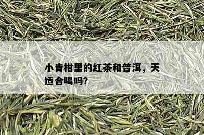 小青柑里的红茶和普洱，天适合喝吗？