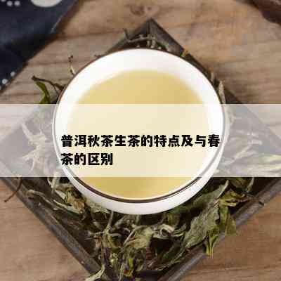 普洱秋茶生茶的特点及与春茶的区别