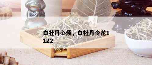 白牡丹心烦，白牡丹令花1122