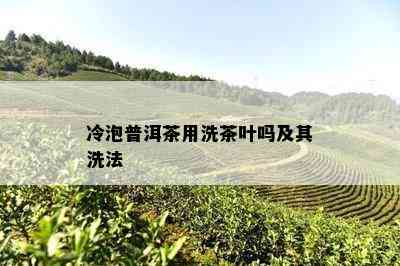 冷泡普洱茶用洗茶叶吗及其洗法