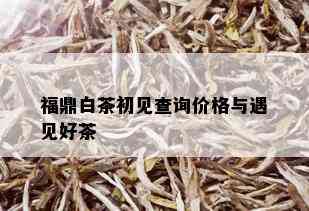 福鼎白茶初见查询价格与遇见好茶