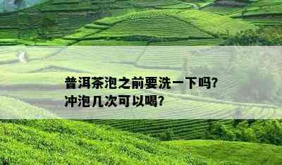 普洱茶泡之前要洗一下吗？冲泡几次可以喝？