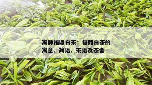 寓静福鼎白茶：福鼎白茶的寓意、简语、茶语及茶舍