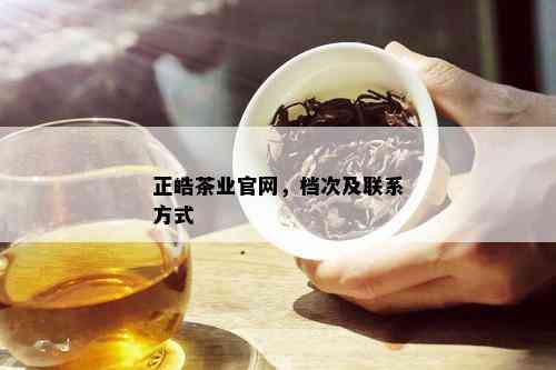 正皓茶业官网，档次及联系方式