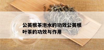 公英根茶泡水的功效公英根叶茶的功效与作用