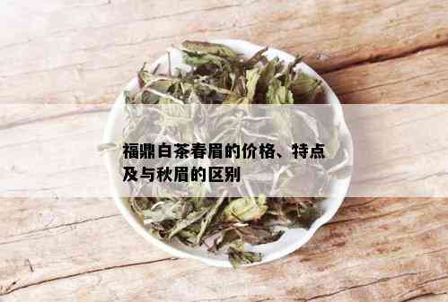 福鼎白茶春眉的价格、特点及与秋眉的区别