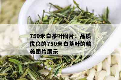 750米白茶叶图片：品质优良的750米白茶叶的精美图片展示