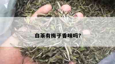 白茶有梅子香味吗?