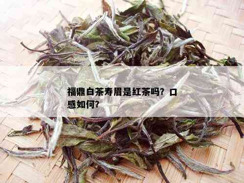 福鼎白茶寿眉是红茶吗？口感如何？